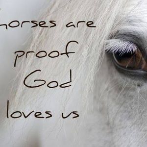 Meet your Posher, Patty